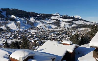 Appartement 1 Chambre Appartement 1 Chambre