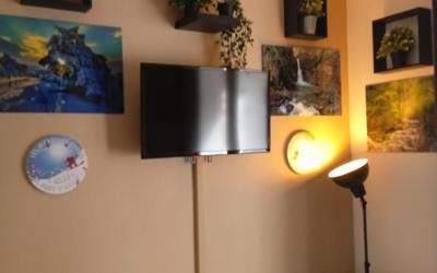 Appartement 1 Chambre