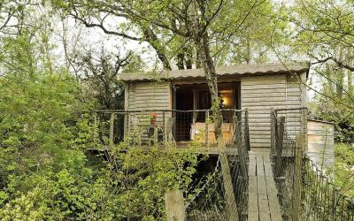 Cabane dans les Arbres 1 Chambre
