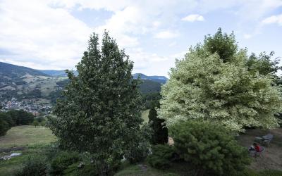 Appartement 3u00a0Chambres