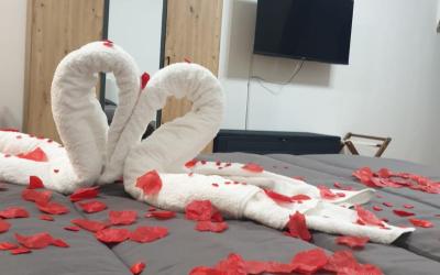 Appartamento con 1 Camera da Letto