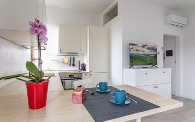 Appartamento con 1 Camera da Letto