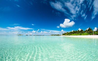 Absolute Beachfront Villas