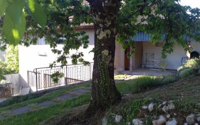Appartement 1 Chambre