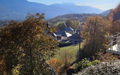Appartement 1 Chambre
