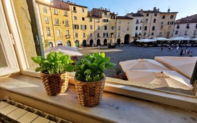 Appartamento con 1 Camera da Letto