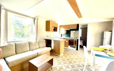 Mobile Home