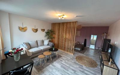 Appartement 1 Chambre