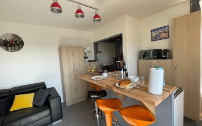 Appartement 1 Chambre