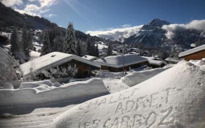 Appartement 1 Chambre