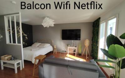 Appartement 1 Chambre