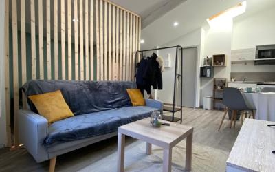 Appartement 1 Chambre