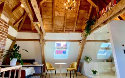 Appartement 1 Chambre Appartement 1 Chambre