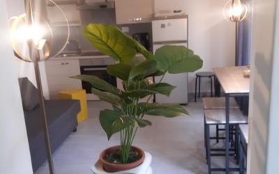 Appartamento con 2 Camere da Letto