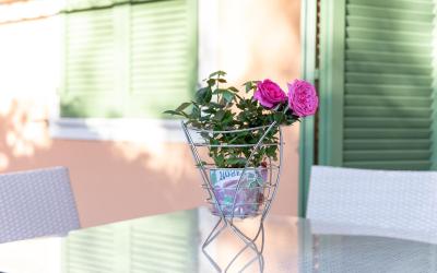 Appartamento con Vista Giardino