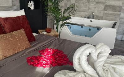 Appartement 1 Chambre