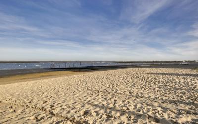 Appartement (4 Adultes)