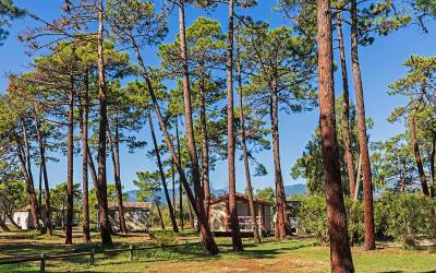 Chalet 1u00a0Chambre (2u00a0Adultes) sans Climatisation Chalet 1u00a0Chambre (2u00a0Adultes) sans Climatisation