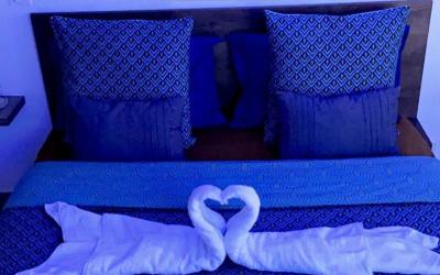 Appartement 1 Chambre Appartement 1 Chambre