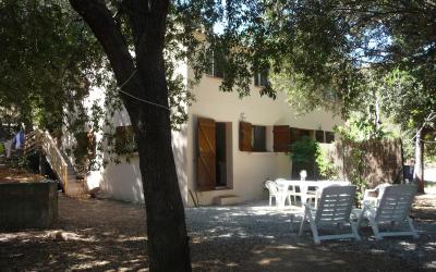 Appartement 1 Chambre