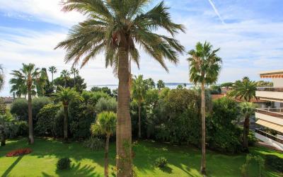 Appartement 1 Chambre