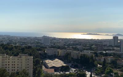 Appartement 1 Chambre Appartement 1 Chambre