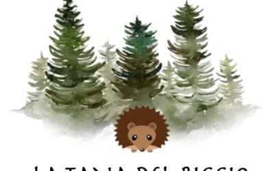 Appartamento - Piano Terra