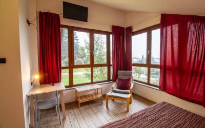 Camera Matrimoniale/Doppia con Letti Singoli con Vista Giardino