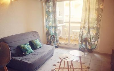 Appartement 1 Chambre