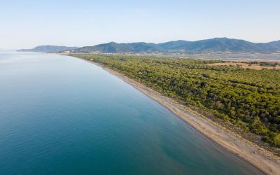 Appartamento Standard