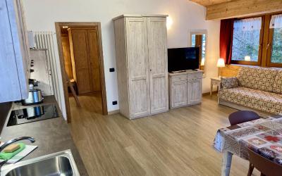 Appartamento Superior con 1 Camera da Letto 