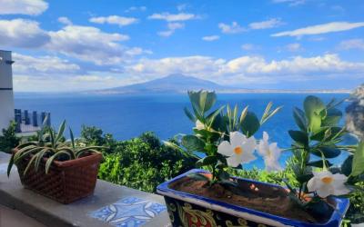 Camera Deluxe Matrimoniale con Vista Mare