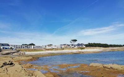 Appartement 1 Chambre Appartement 1 Chambre