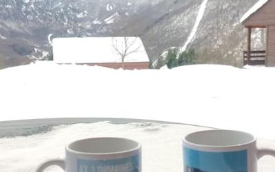 Appartement 1 Chambre