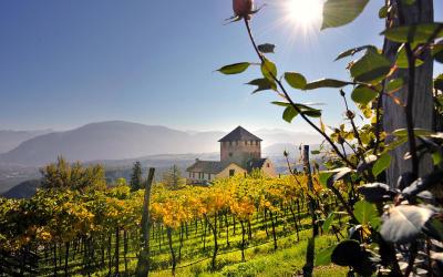 Camera Matrimoniale Economy