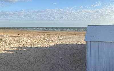 Appartement 1 Chambre