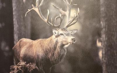 Appartement 2 Chambres Appartement 2 Chambres