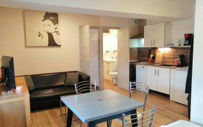 Appartement 1 Chambre