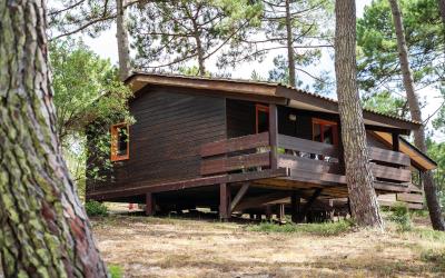 Appartement 1 Chambre