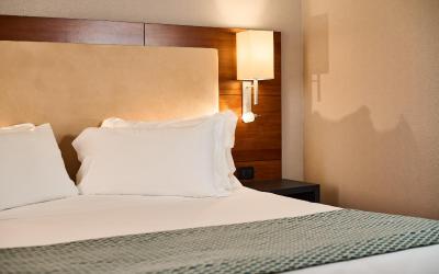 Camera Matrimoniale (1 Adulto)