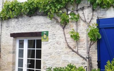 Appartement 1 Chambre