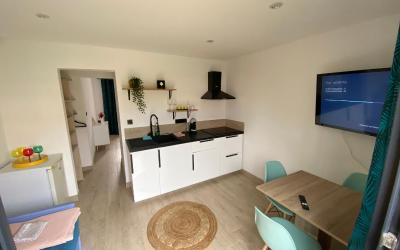 Appartement 1 Chambre