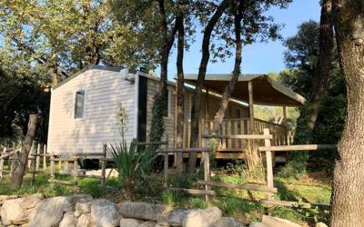 Mobile Home Mobile Home