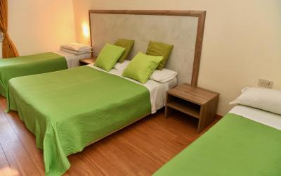 Camera Tripla Standard