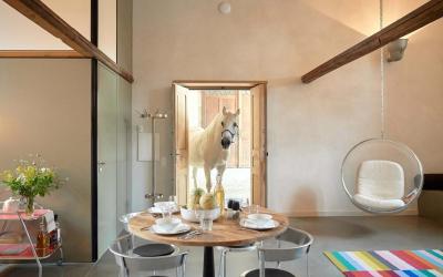 Appartement 1 Chambre