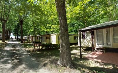 Casa Mobile (2 adulti)