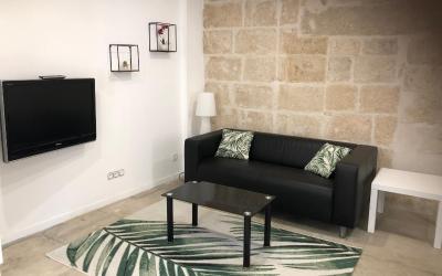 Appartement 1 Chambre Appartement 1 Chambre