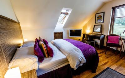 Single Room with Garden View