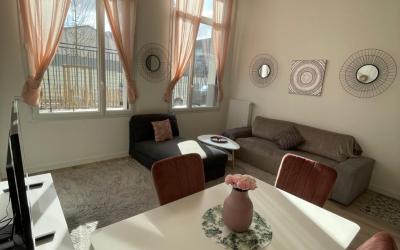 Appartement 1 Chambre