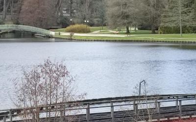 Appartement 1 Chambre